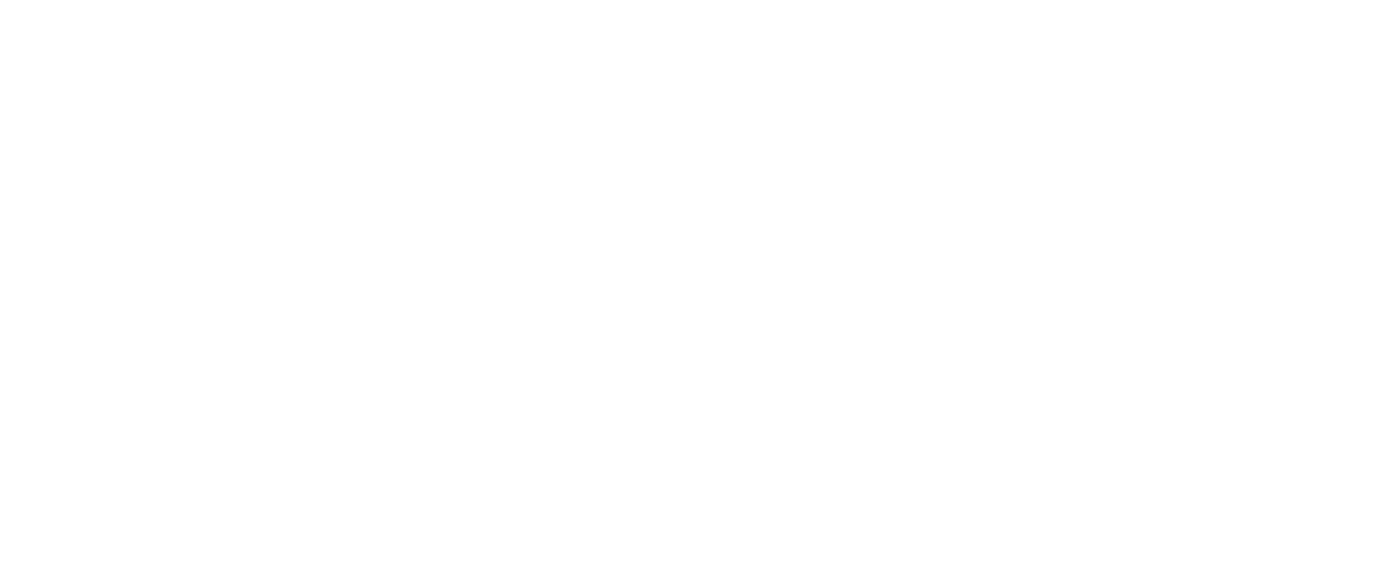 Leogo Visa Logo